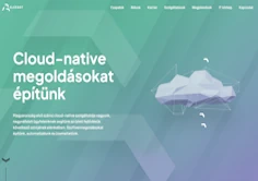 alerant weboldal design